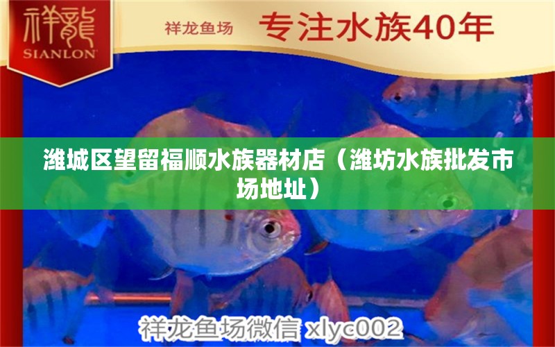 潍城区望留福顺水族器材店（潍坊水族批发市场地址） 观赏鱼水族批发市场