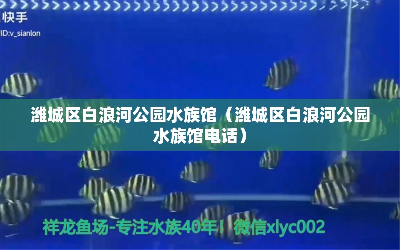 潍城区白浪河公园水族馆（潍城区白浪河公园水族馆电话） 全国水族馆企业名录