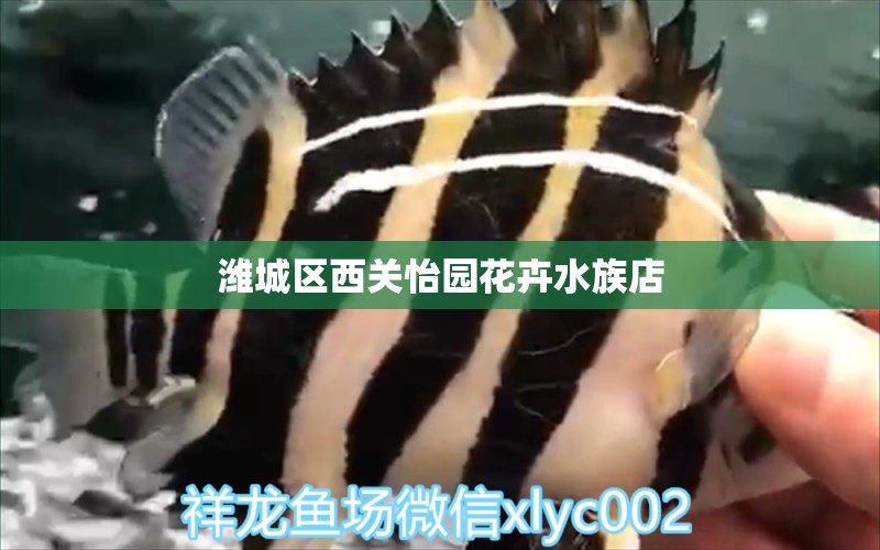 潍城区西关怡园花卉水族店 全国水族馆企业名录