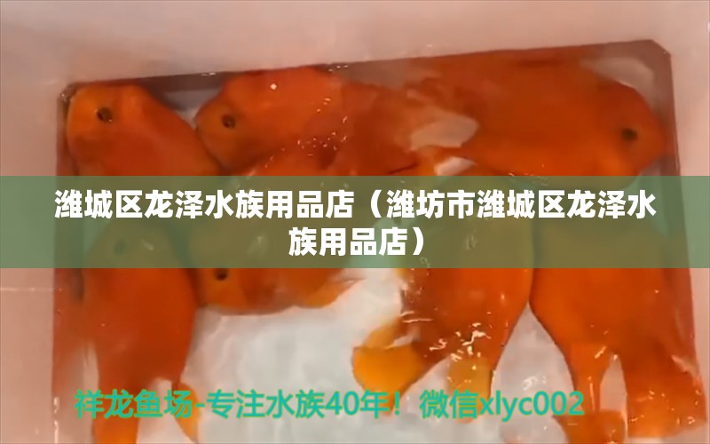 潍城区龙泽水族用品店（潍坊市潍城区龙泽水族用品店） 全国观赏鱼市场 第2张