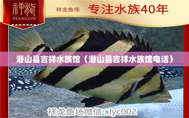 潜山县吉祥水族馆（潜山县吉祥水族馆电话）