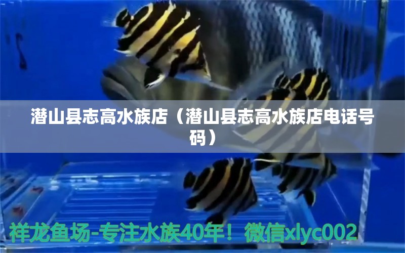 潜山县志高水族店（潜山县志高水族店电话号码） 全国水族馆企业名录