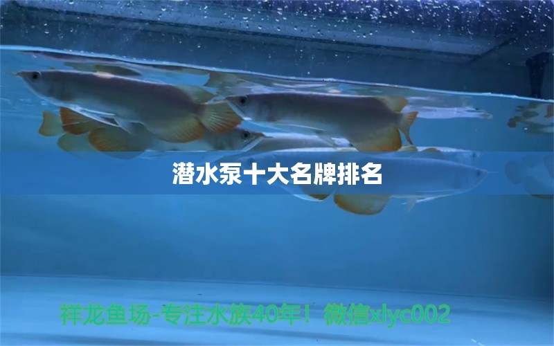 潜水泵十大名牌排名