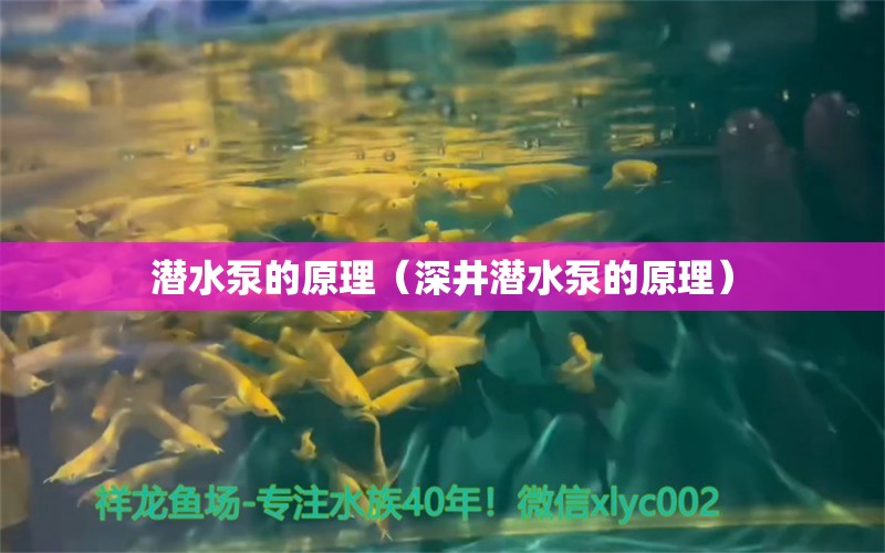 潜水泵的原理（深井潜水泵的原理）