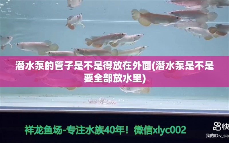 潜水泵的管子是不是得放在外面(潜水泵是不是要全部放水里)