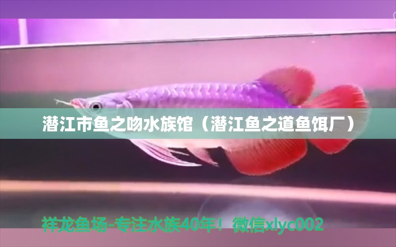 潜江市鱼之吻水族馆（潜江鱼之道鱼饵厂）