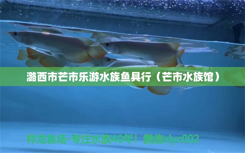 潞西市芒市乐游水族鱼具行（芒市水族馆）