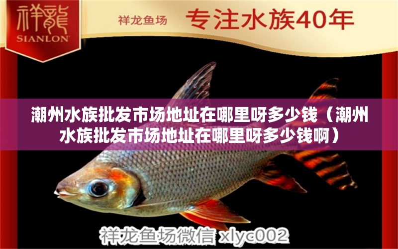 潮州水族批发市场地址在哪里呀多少钱（潮州水族批发市场地址在哪里呀多少钱啊）