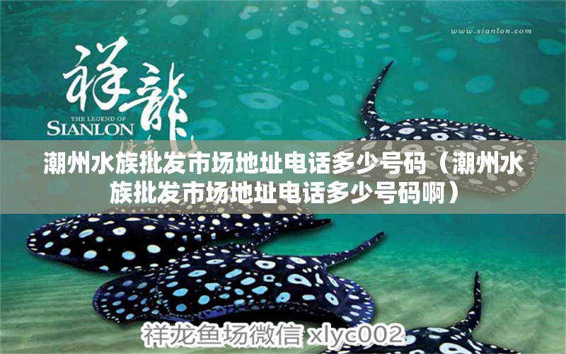 潮州水族批发市场地址电话多少号码（潮州水族批发市场地址电话多少号码啊） 观赏鱼水族批发市场