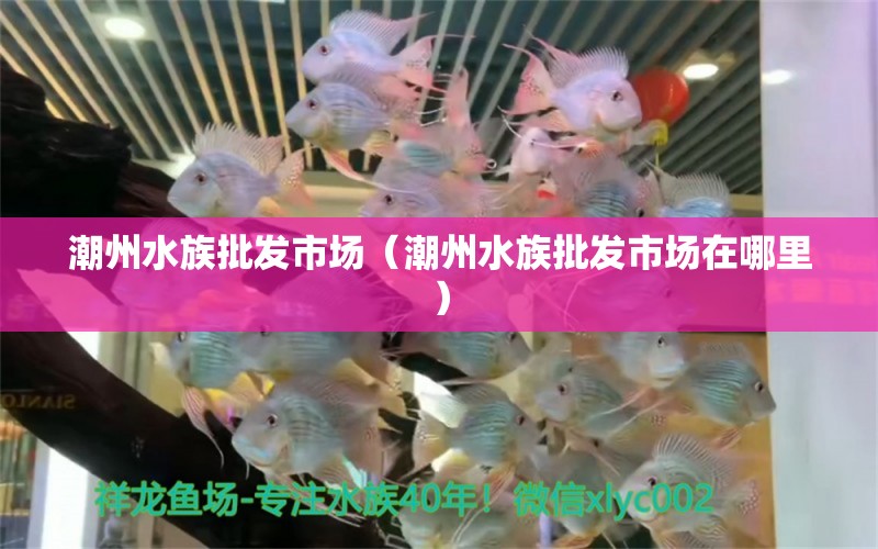 潮州水族批发市场（潮州水族批发市场在哪里） 观赏鱼水族批发市场