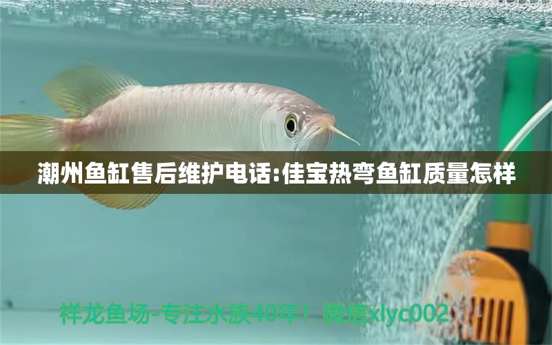 潮州鱼缸售后维护电话:佳宝热弯鱼缸质量怎样