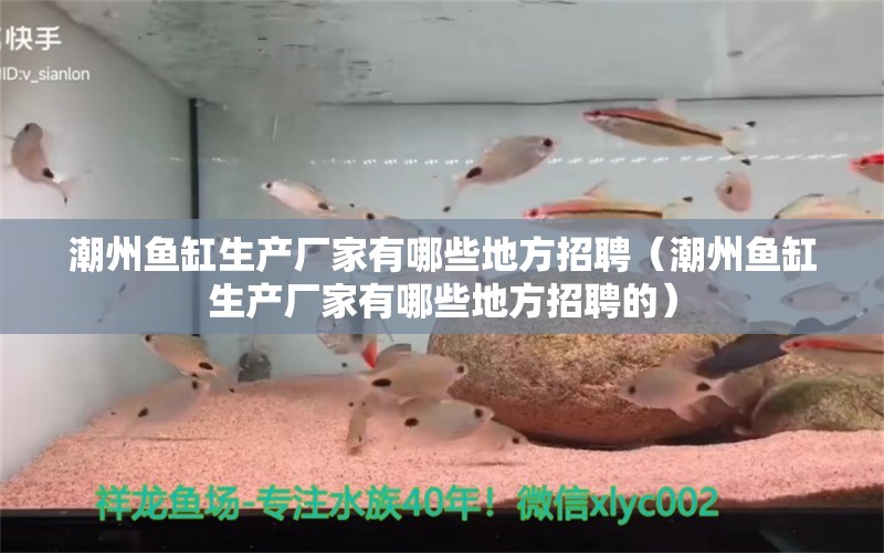 潮州鱼缸生产厂家有哪些地方招聘（潮州鱼缸生产厂家有哪些地方招聘的）