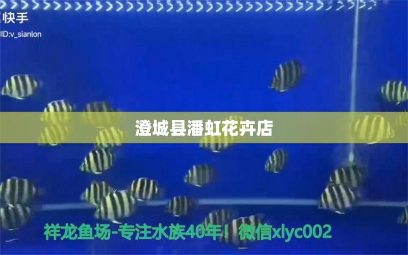 澄城县潘虹花卉店 全国水族馆企业名录