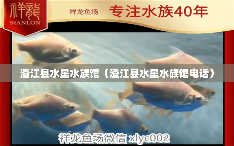 澄江县水星水族馆（澄江县水星水族馆电话）