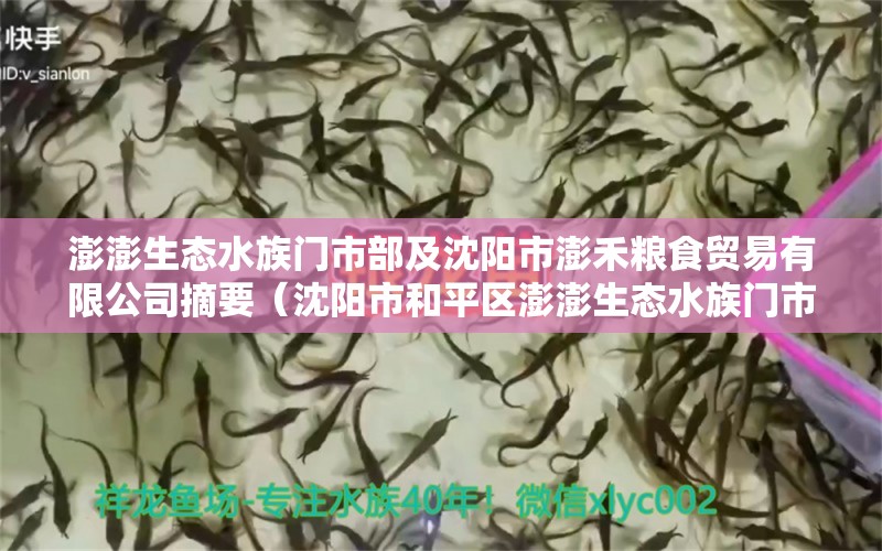 澎澎生态水族门市部及沈阳市澎禾粮食贸易有限公司摘要（沈阳市和平区澎澎生态水族门市部）