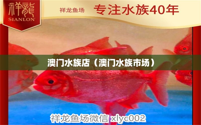 澳门水族店（澳门水族市场） 观赏鱼市场