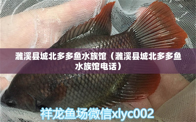 濉溪县城北多多鱼水族馆（濉溪县城北多多鱼水族馆电话）