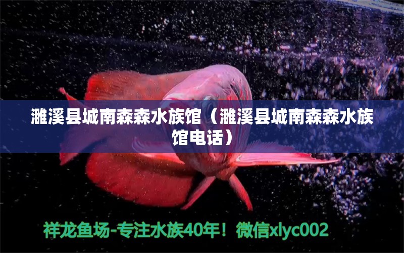 濉溪县城南森森水族馆（濉溪县城南森森水族馆电话）