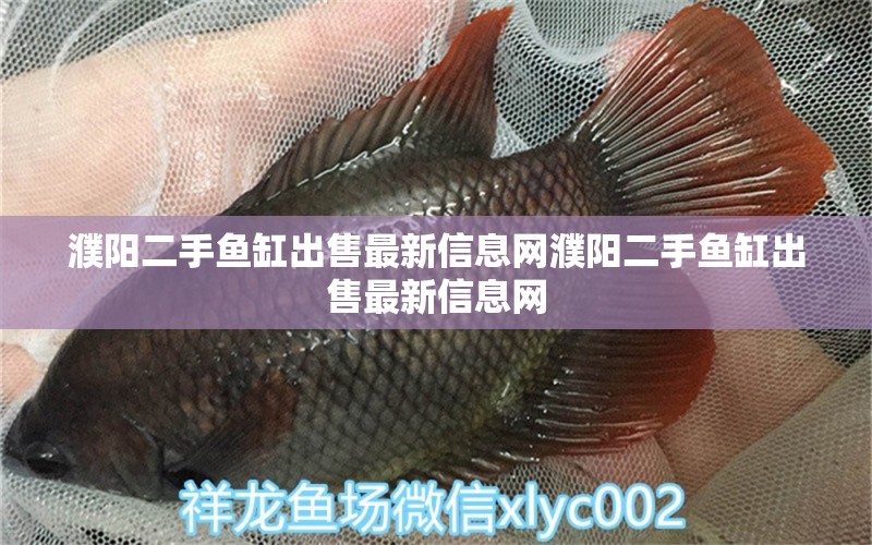 濮阳二手鱼缸出售最新信息网濮阳二手鱼缸出售最新信息网 过背金龙鱼