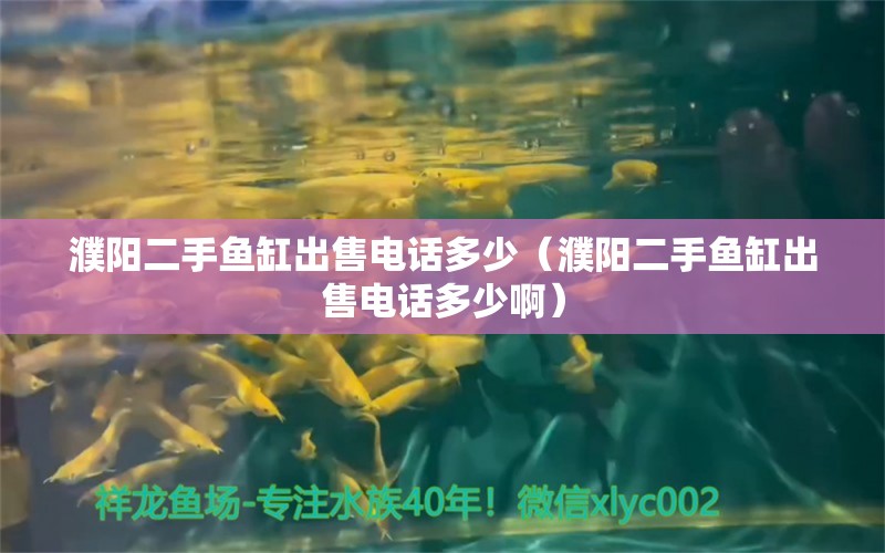 濮阳二手鱼缸出售电话多少（濮阳二手鱼缸出售电话多少啊） 南美异型鱼