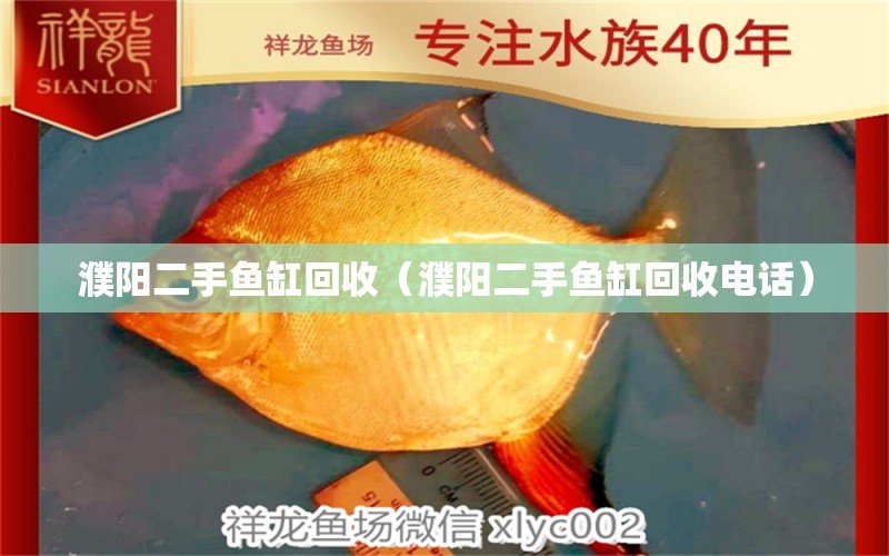 濮阳二手鱼缸回收（濮阳二手鱼缸回收电话） 祥龙水族医院