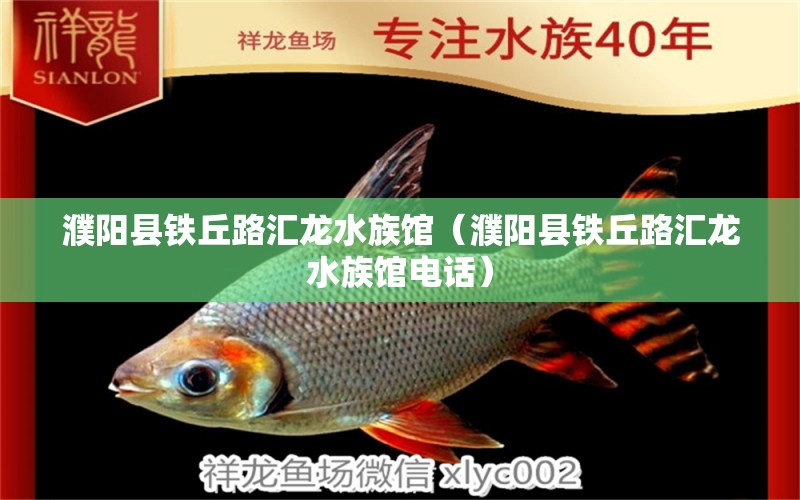 濮阳县铁丘路汇龙水族馆（濮阳县铁丘路汇龙水族馆电话）