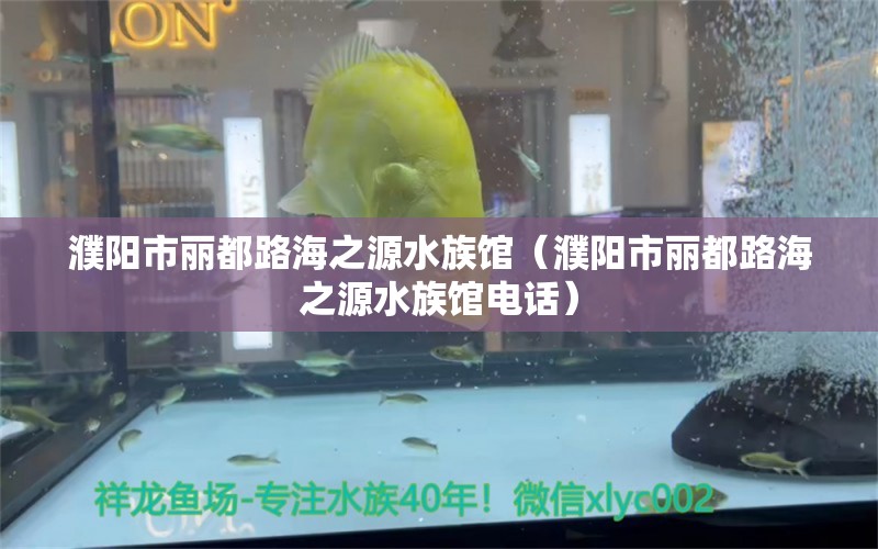 濮阳市丽都路海之源水族馆（濮阳市丽都路海之源水族馆电话）