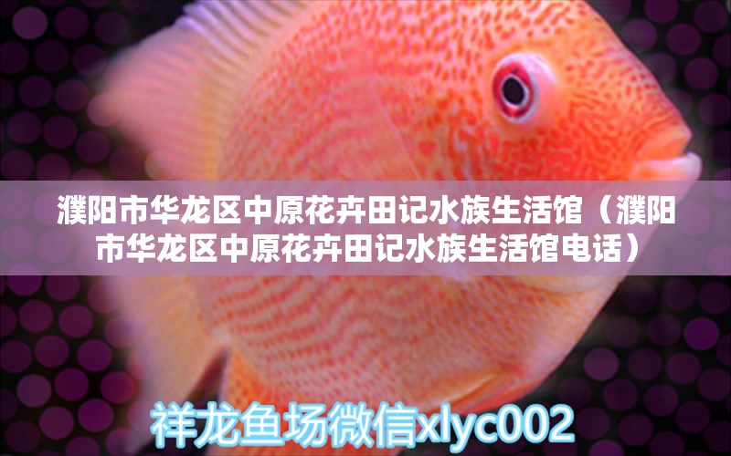 濮阳市华龙区中原花卉田记水族生活馆（濮阳市华龙区中原花卉田记水族生活馆电话）