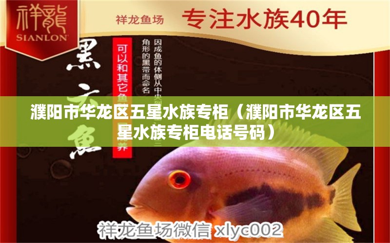 濮阳市华龙区五星水族专柜（濮阳市华龙区五星水族专柜电话号码）