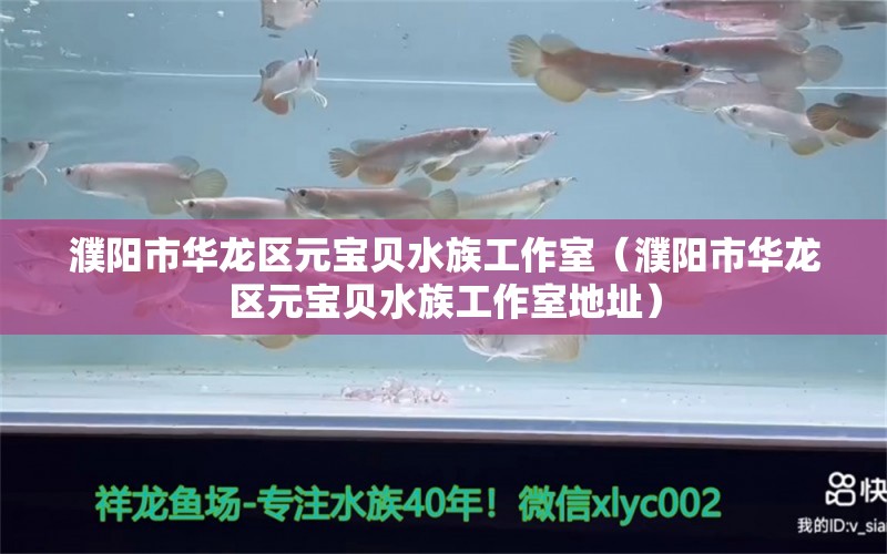 濮阳市华龙区元宝贝水族工作室（濮阳市华龙区元宝贝水族工作室地址） 全国水族馆企业名录