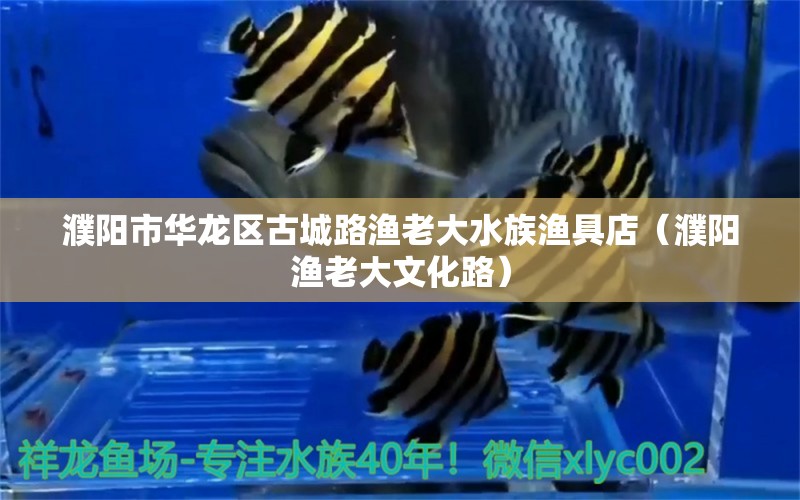 濮阳市华龙区古城路渔老大水族渔具店（濮阳渔老大文化路） 全国水族馆企业名录