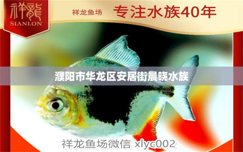 濮阳市华龙区安居街晨晓水族 全国水族馆企业名录