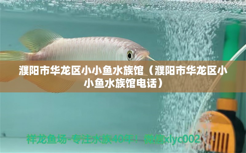 濮阳市华龙区小小鱼水族馆（濮阳市华龙区小小鱼水族馆电话）