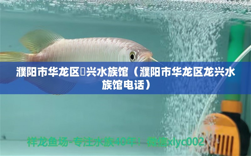 濮阳市华龙区龍兴水族馆（濮阳市华龙区龙兴水族馆电话）