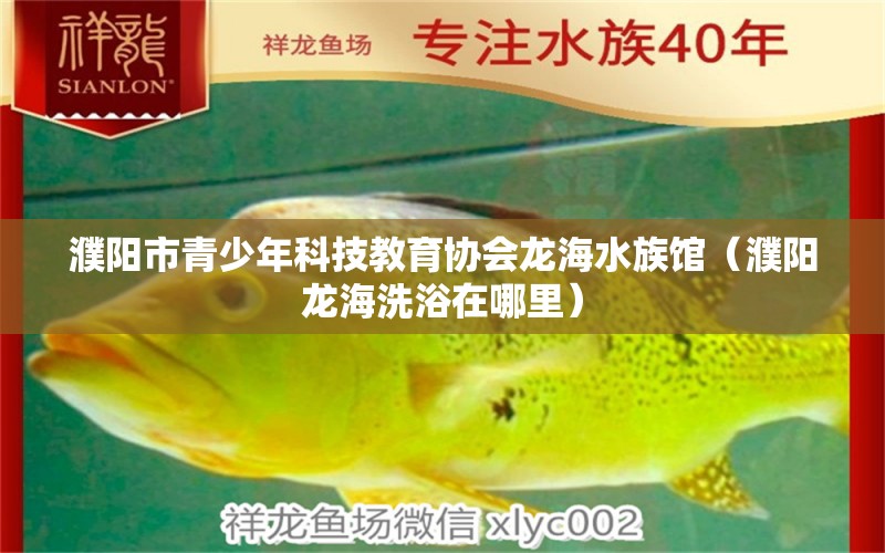 濮阳市青少年科技教育协会龙海水族馆（濮阳龙海洗浴在哪里） 全国水族馆企业名录