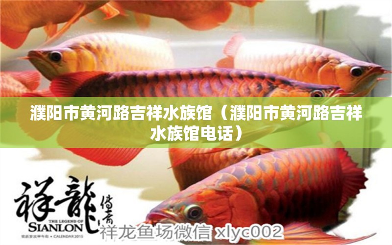 濮阳市黄河路吉祥水族馆（濮阳市黄河路吉祥水族馆电话）