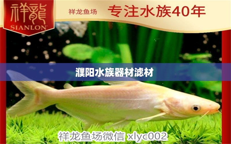 濮阳水族器材滤材  观赏鱼市场（混养鱼） 第1张