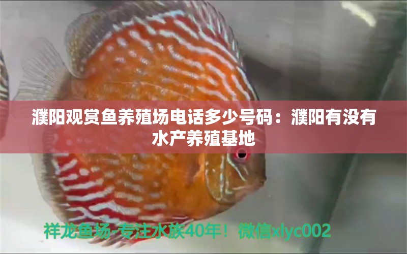 濮阳观赏鱼养殖场电话多少号码：濮阳有没有水产养殖基地