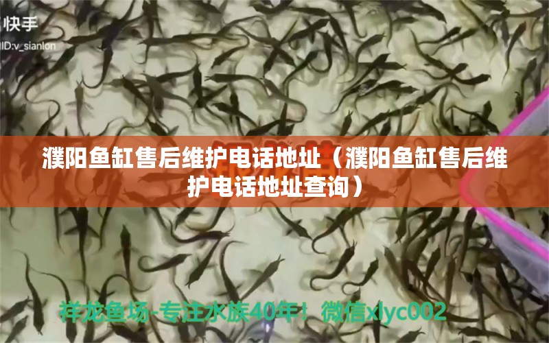 濮阳鱼缸售后维护电话地址（濮阳鱼缸售后维护电话地址查询） 其他品牌鱼缸