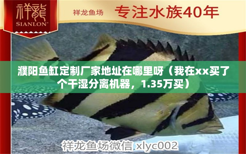 濮阳鱼缸定制厂家地址在哪里呀（我在xx买了个干湿分离机器，1.35万买）