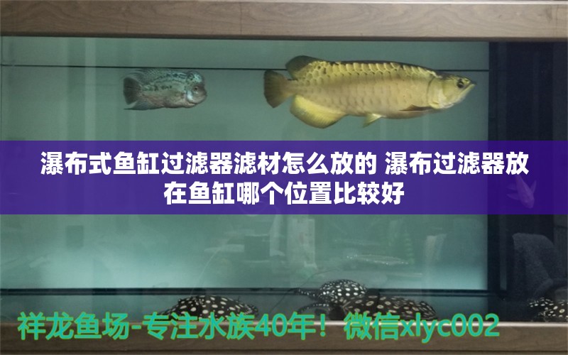 瀑布式鱼缸过滤器滤材怎么放的 瀑布过滤器放在鱼缸哪个位置比较好