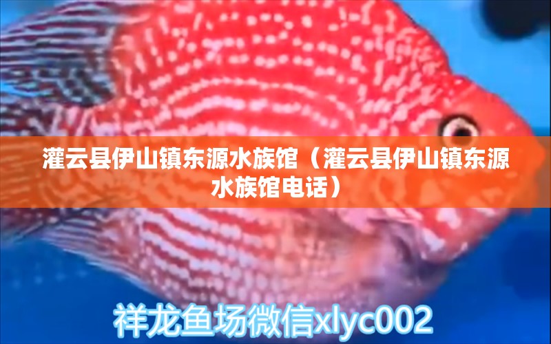 灌云县伊山镇东源水族馆（灌云县伊山镇东源水族馆电话）