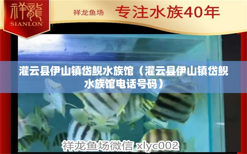 灌云县伊山镇岱鲵水族馆（灌云县伊山镇岱鲵水族馆电话号码） 全国水族馆企业名录