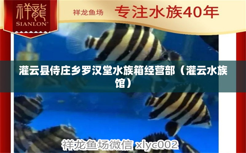 灌云县侍庄乡罗汉堂水族箱经营部（灌云水族馆） 鱼缸/水族箱