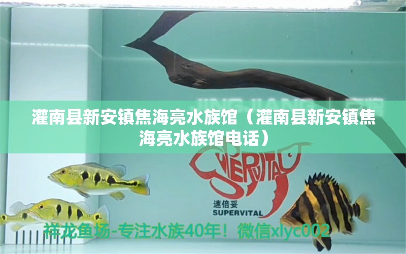 灌南县新安镇焦海亮水族馆（灌南县新安镇焦海亮水族馆电话）