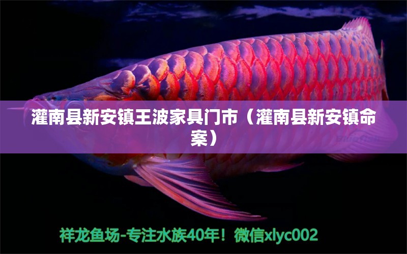 灌南县新安镇王波家具门市（灌南县新安镇命案） 全国水族馆企业名录