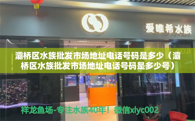 灞桥区水族批发市场地址电话号码是多少（灞桥区水族批发市场地址电话号码是多少号） 观赏鱼水族批发市场