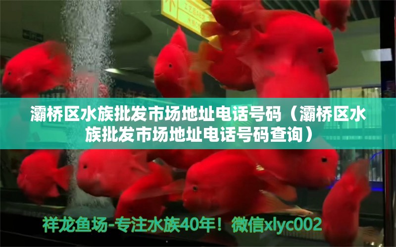 灞桥区水族批发市场地址电话号码（灞桥区水族批发市场地址电话号码查询）