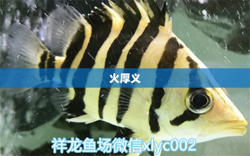 火厚义 全国水族馆企业名录