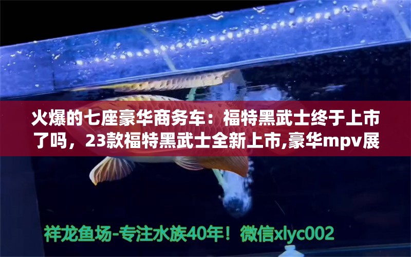 火爆的七座豪华商务车：福特黑武士终于上市了吗，23款福特黑武士全新上市,豪华mpv展厅现车 巴西亚鱼 第1张